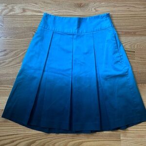 EXPRESS Pleated Ombré Skirt